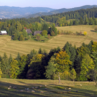 V Beskydech (nad Valašskou Bystřicí)