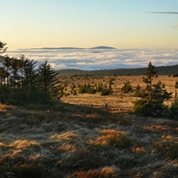 Z Vysoké hole (Jeseníky)