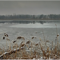 Zamrzlý Prostřední rybník