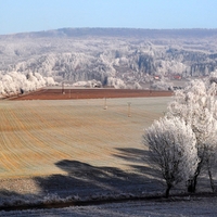 Barevná zima