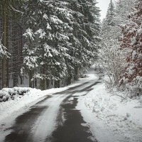 Sněží