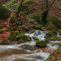 Suchá kamenice