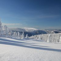 Reklama na zimu