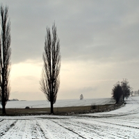 Vysočina u Knyku