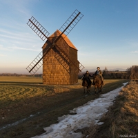 Kovbojové nevymřeli