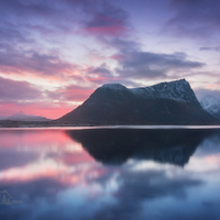 ... LOFOTEN ...