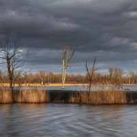 Na vodě