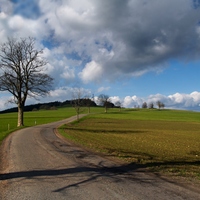 Jaro se hlásí