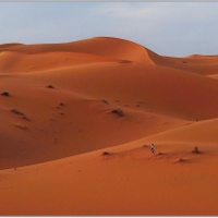 Sahara