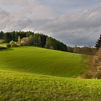 Jarní