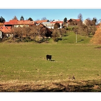 ..v Ráji....stůj,tady je moje....