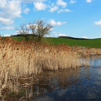 Kolovečsko.