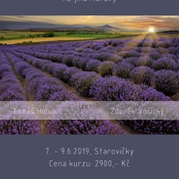 Krajinou levandulových polí