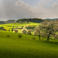 Lokální světlo