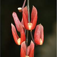 Botanická zahrada Praha