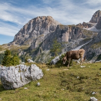 Val Venegia III