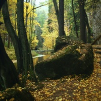U Kamenice