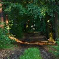 ...podvečerní....