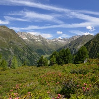Alpské výhledy