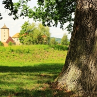 Vodní hrad Švihov.