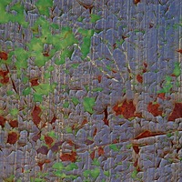 abstrál 5