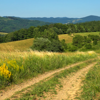 ...polňačkou na Slovensko (v Javorníkách)