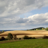 Vysočina u Skřivánku