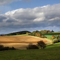 Vysočina u Skřivánku 2