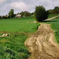 Vysočina u Květnova