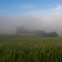 Za závojem