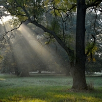 Když sluníčko budí park