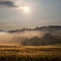 Jednoho rána