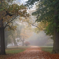 Podzimní chodníček