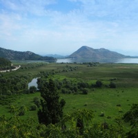 Skadarské jezero