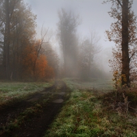 Mrazivo,mlhavo