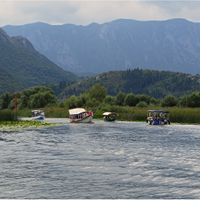 Skadarské jezero