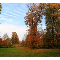 Zámecký park.