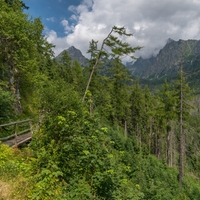 Sbohem tatry