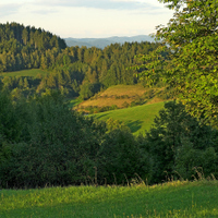 Na Stříbrníku (Javorníky) - přírodní památka