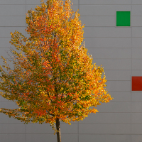 barvy podzimu