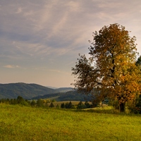 Před zapadnutím