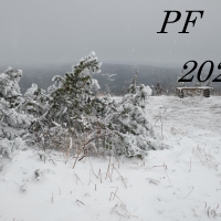 PF 2020