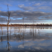 Odrazovka