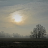 Svítá nad malou louží