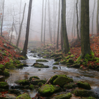 Telčské údolí