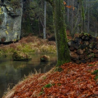 na břehu Kamenice