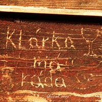 evangelička