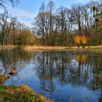 Vrbičky