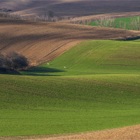 Slovácko.