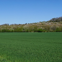 Pseudopanorama 2